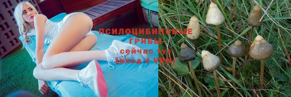 mdpv Верея