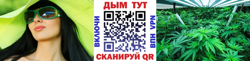 Бошки марихуана SATIVA & INDICA  купить наркотики сайты  гидра как зайти  Давлеканово 
